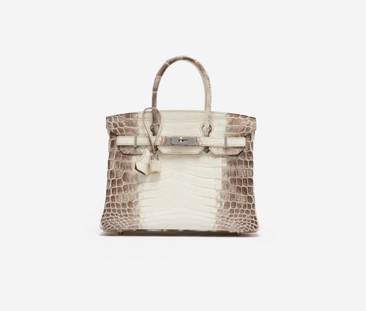 Birkin 30 Himalaya Niloticus Matte Palladium Hardware